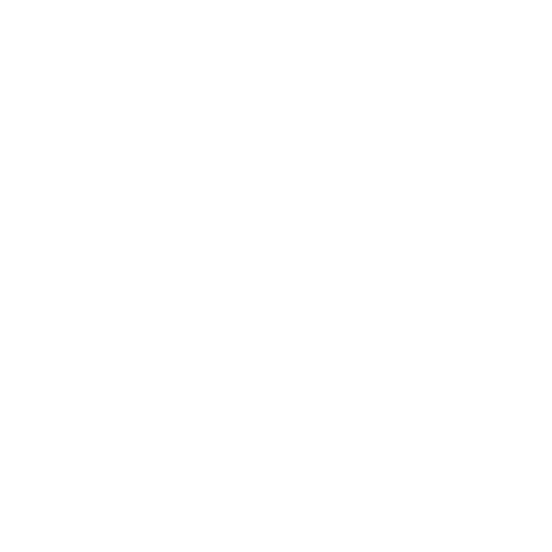 boltlifeline